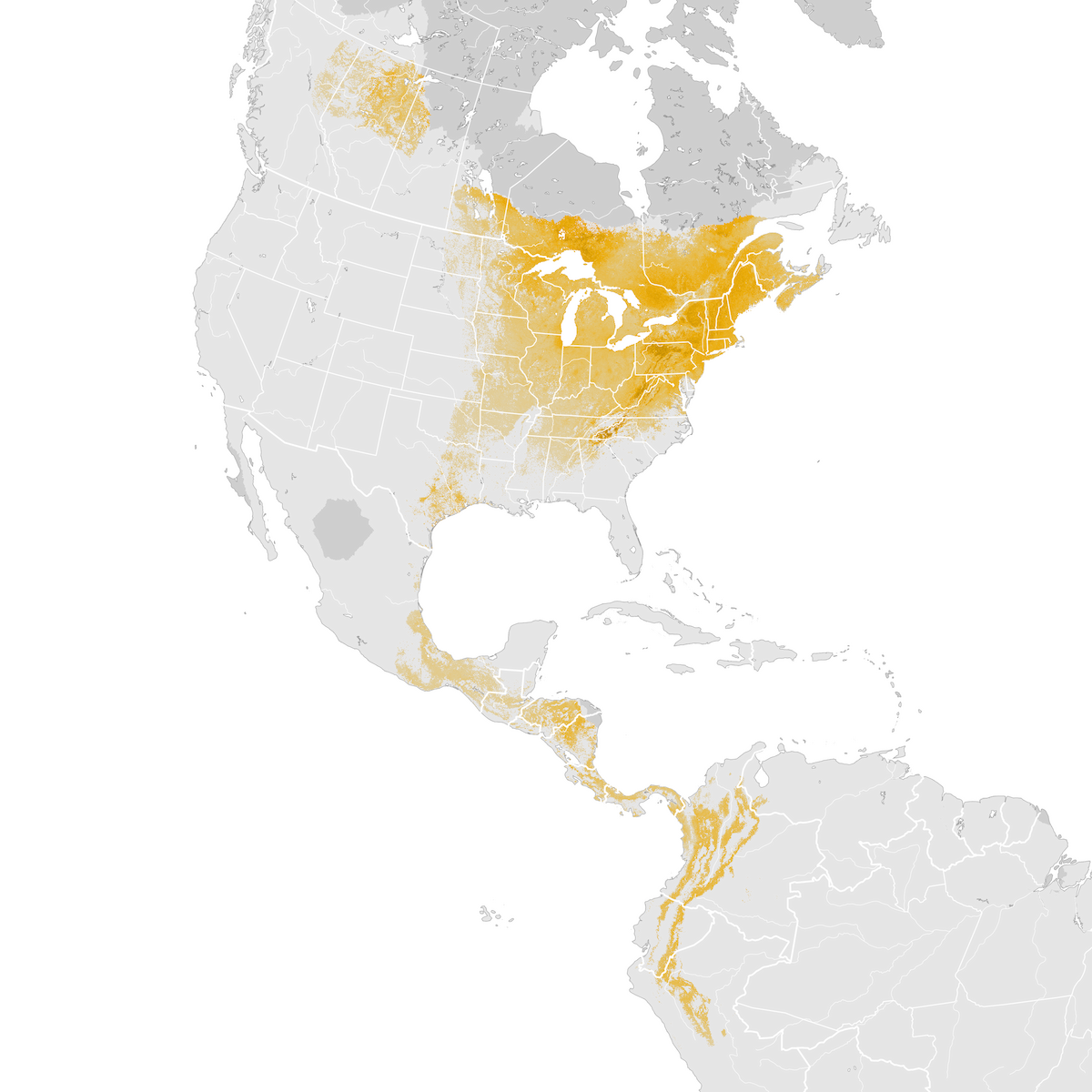 Canada Warbler Abundance Map Pre Breeding Migration Ebird Status