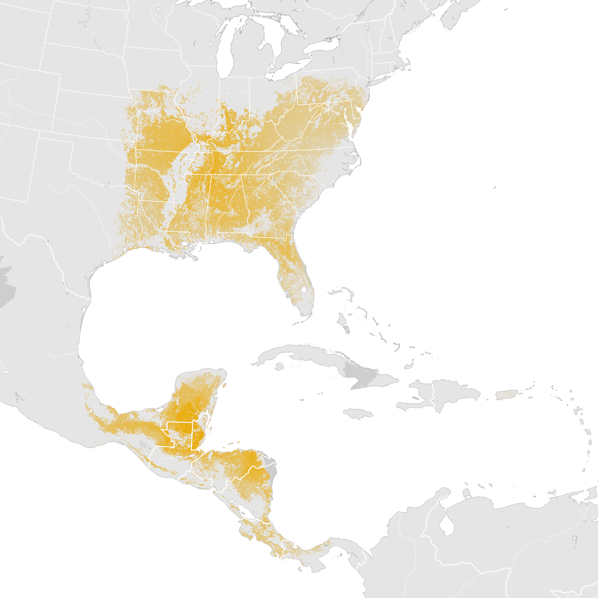 Kentucky Warbler Abundance map Postbreeding migration eBird