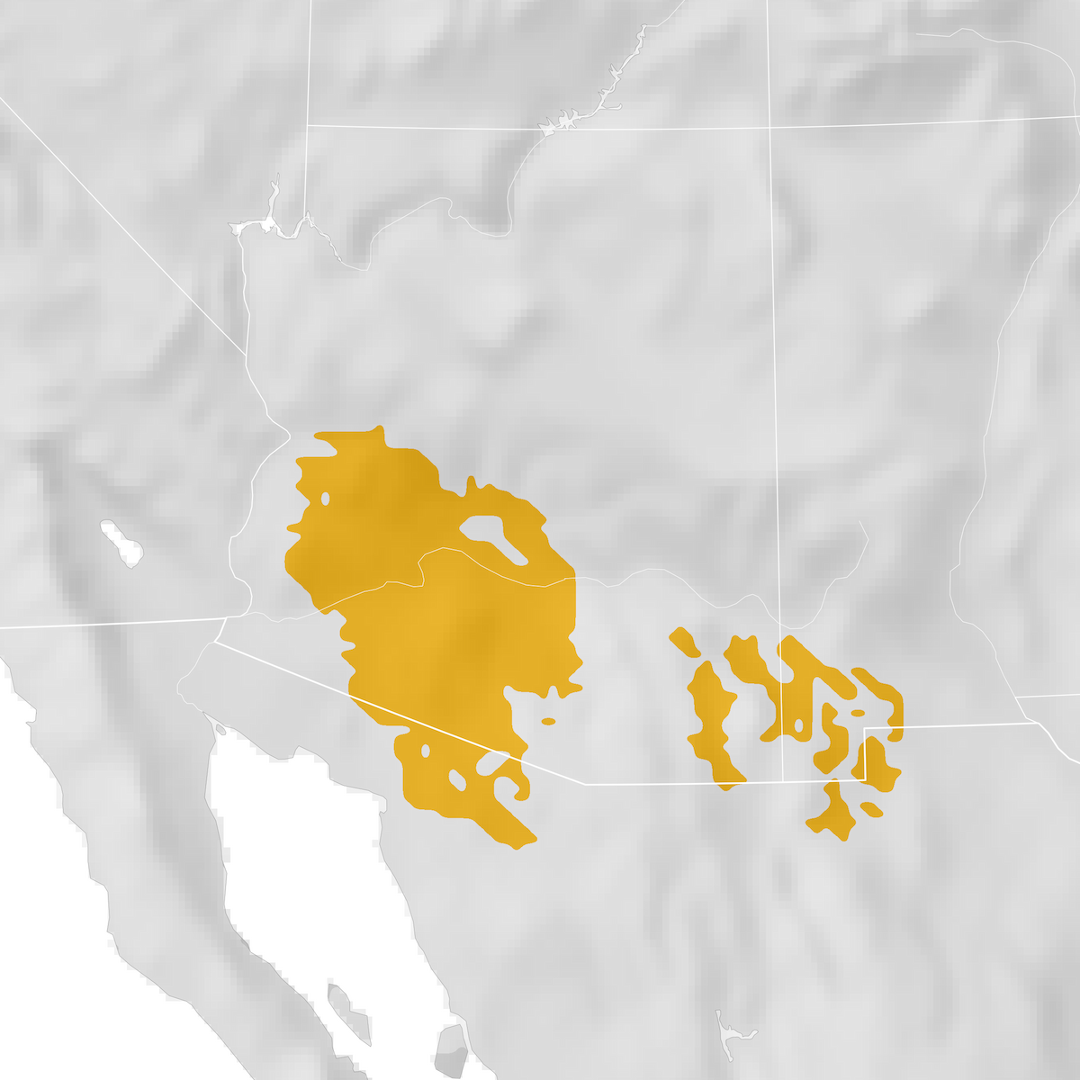 Bendire's Thrasher - Range Map: Post-breeding Migration - EBird Status ...