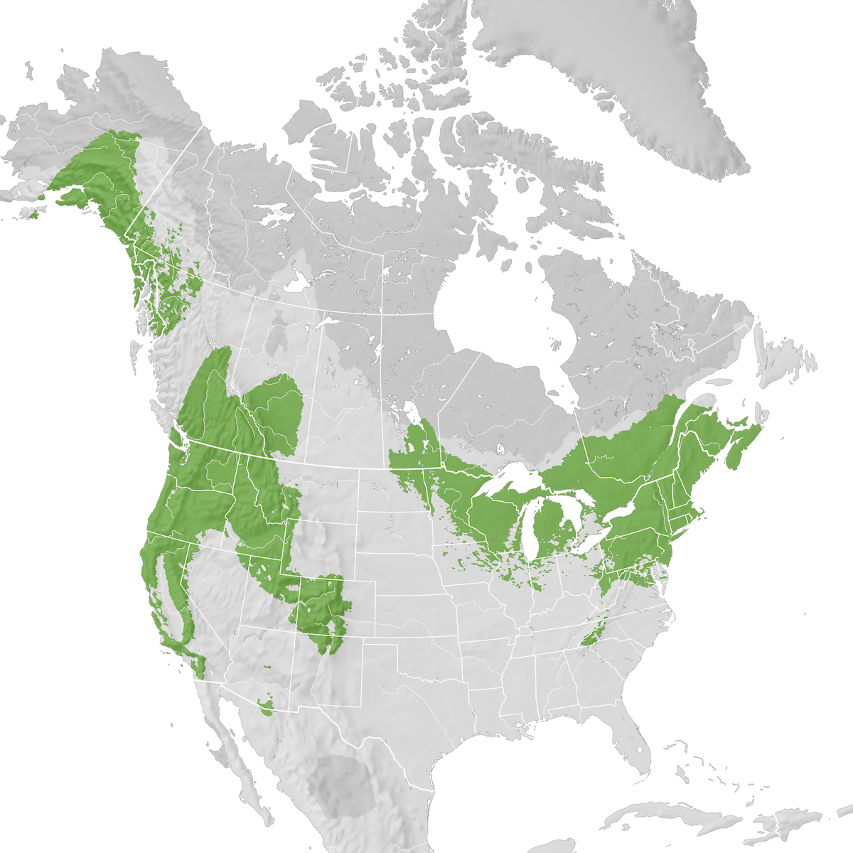 Northern Saw-whet Owl - Range map: Pre-breeding migration - eBird ...