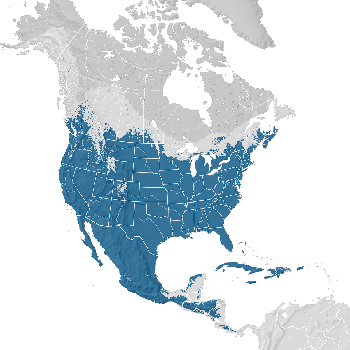 Redtailed Hawk Range map Nonbreeding eBird Status and Trends