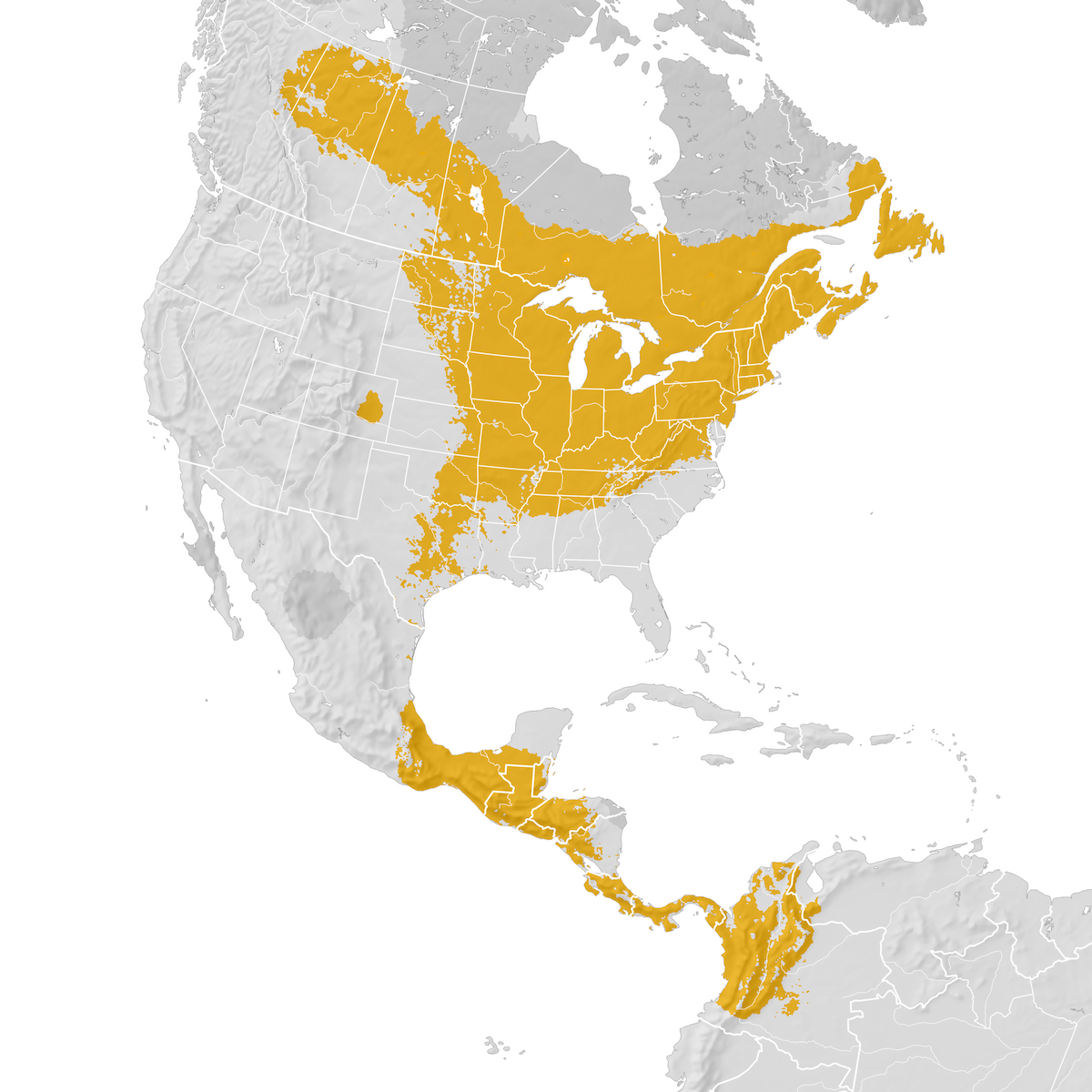 Mourning Warbler - Range Map: Pre-breeding Migration - EBird Status And ...