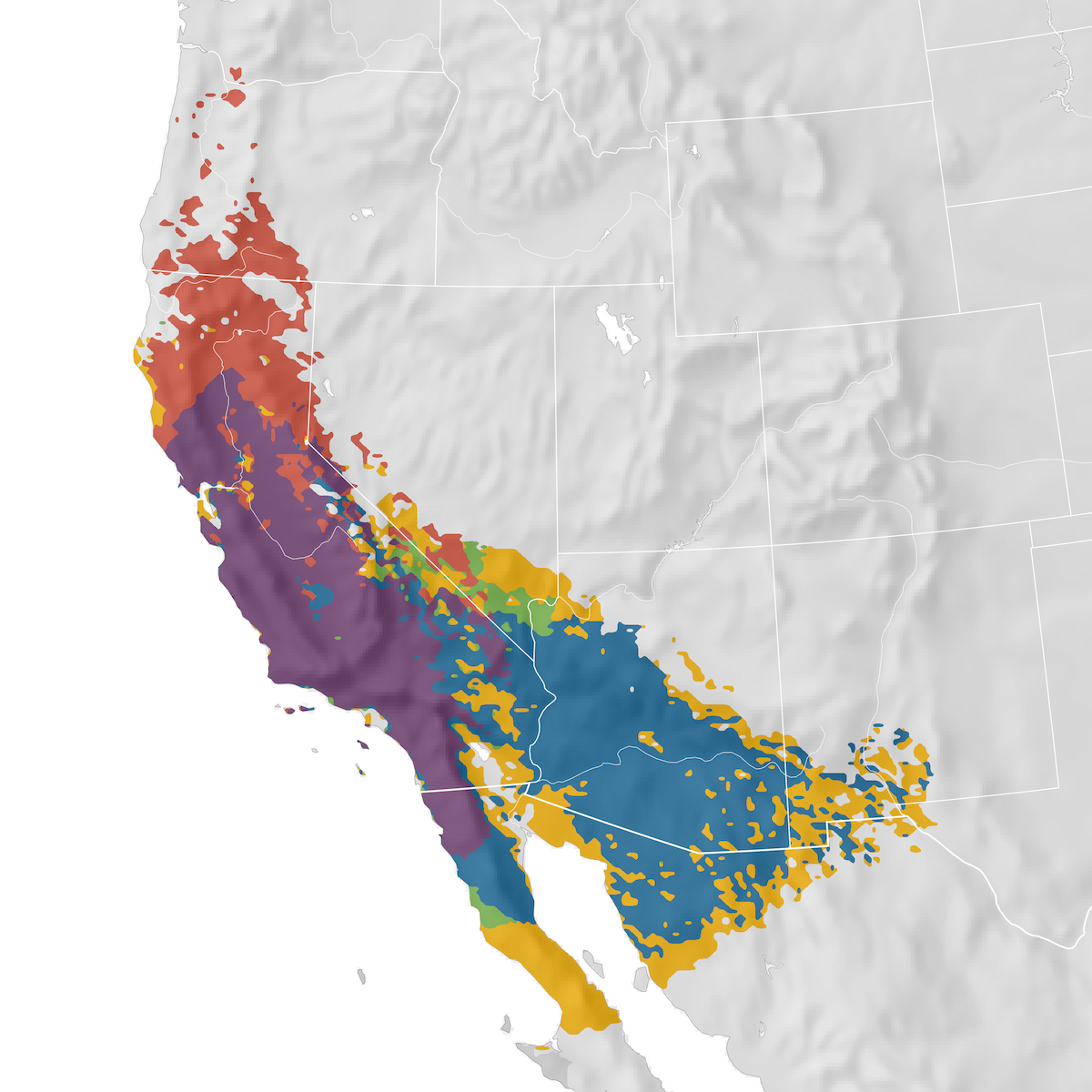Lawrence's Goldfinch - Range map - eBird Status and Trends