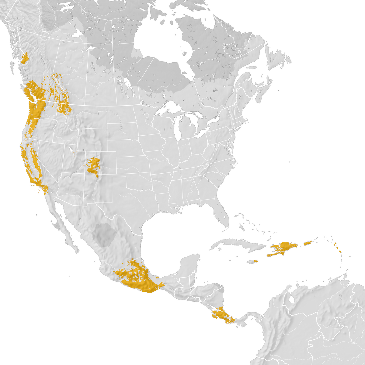 Black Swift Range Map Pre Breeding Migration Ebird Status And Trends